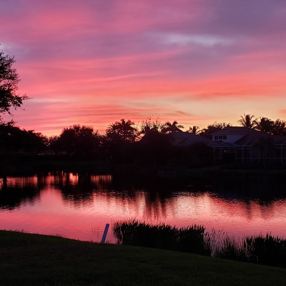 Meet your Posher, Lynn